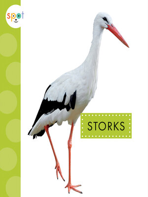 cover image of Storks